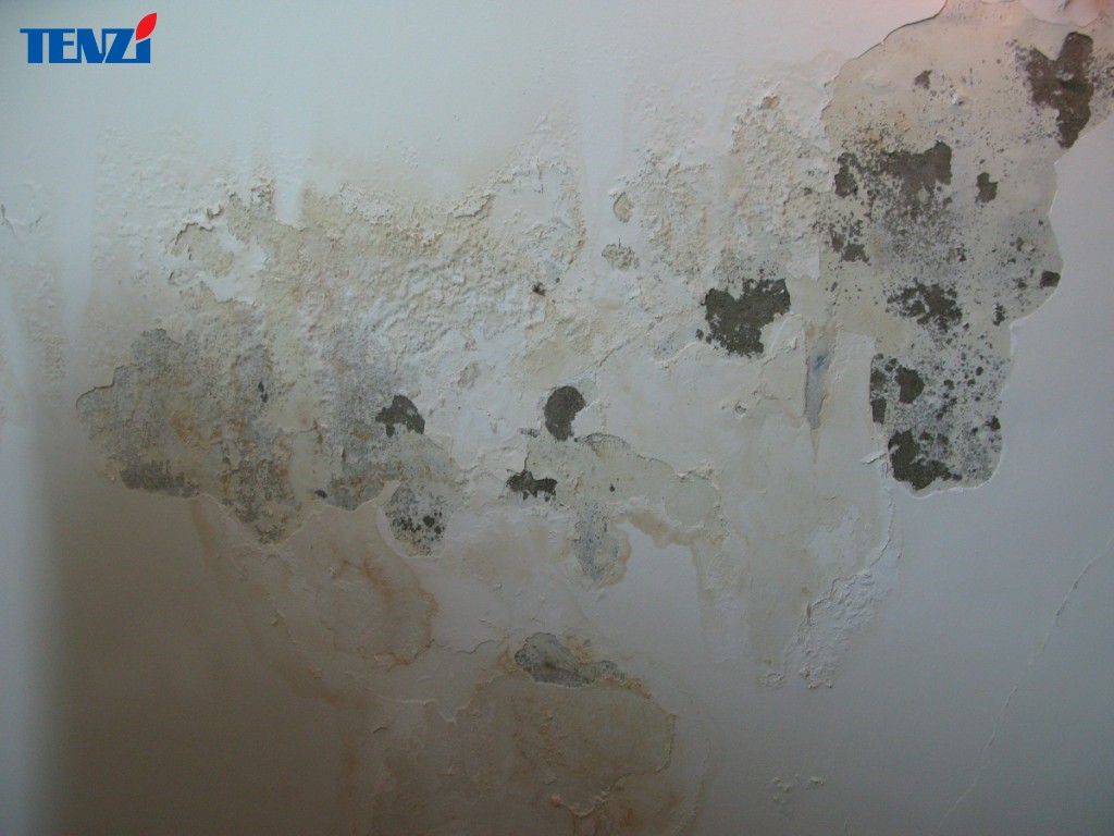 Tình trạng thấm dột nhà vệ sinh về lâu dài ảnh hưởng đến chất lượng công trình; tính mạng và sức khỏe của con người.